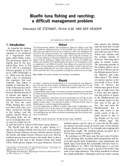 Bluefin tuna fishing and ranching: a difficult management problem