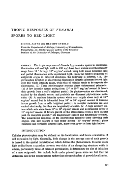 Biophys. J. 5 - M Terasaki home page