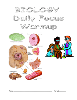 DAILY FOCUS WARMUP &ndash; BIOLOGY