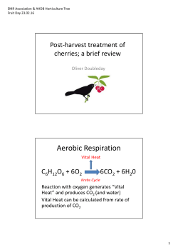 Aerobic Respiration