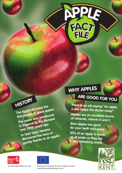 Apple fact file - Produced in Kent