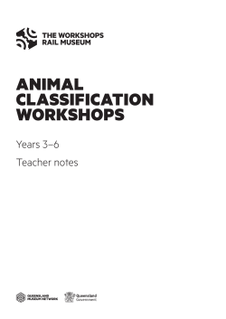 animal classification workshops