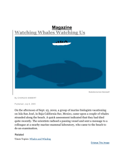 Magazine Watching Whales Watching Us