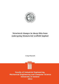 Structural changes in sheep tibia bone undergoing