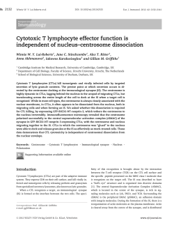 Cytotoxic T lymphocyte effector function is independent of nucleus