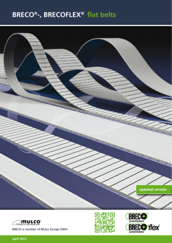 BRECO&reg;-, BRECOFLEX&reg; flat belts