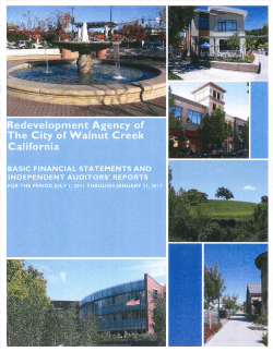 notes to basic financial statements