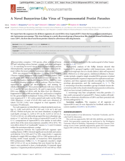 A Novel Bunyavirus-Like Virus of Trypanosomatid Protist Parasites