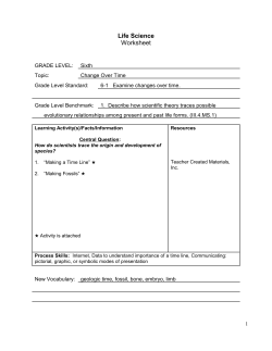 Grade 6 Science Activities 1 of 2