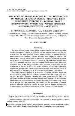 the role of blood glucose in the restoration of muscle glycogen