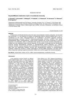 Amyloid/Melanin distinctive mark in invertebrate immunity