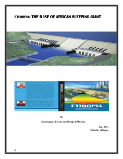 ethiopia: the r ise of african sleeping giant