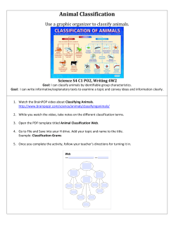 Animal Classification