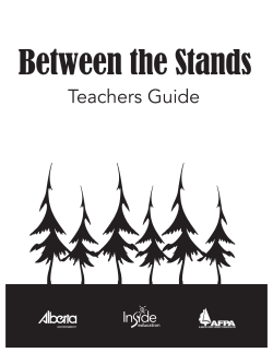 Between the Stands - Teachers Guide