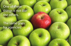 One of these things is not like the others. The same goes for agencies.