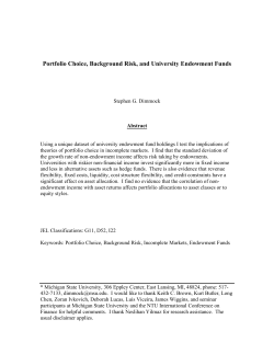 Portfolio Choice, Background Risk, and University
