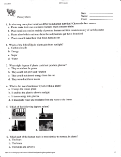 l. In what way does plant nutrition differ from human nutrition