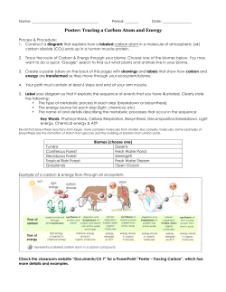7-7 Poster - Tracing Carbon