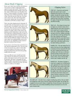 About Body Clipping