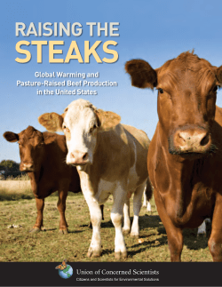 RaiSinG the - Union of Concerned Scientists