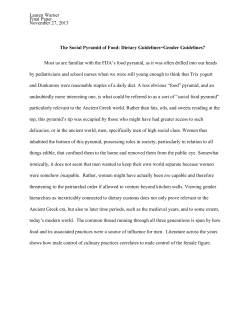 Lauren Warner Final Paper November 27, 2013 The Social Pyramid