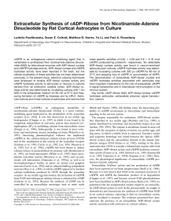 Extracellular Synthesis of cADP-Ribose from Nicotinamide