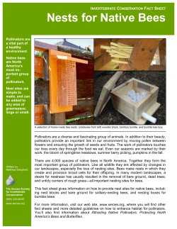 Nests for Native Bees