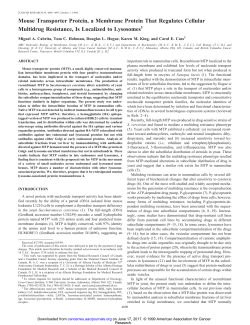 Mouse Transporter Protein, a Membrane Protein