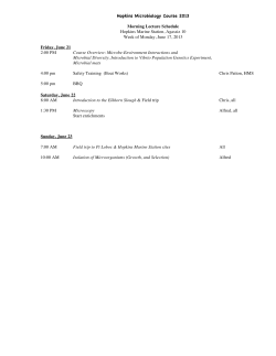 2013 syllabus - Stanford University