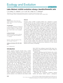 Lake Malawi cichlid evolution along a benthiclimnetic axis