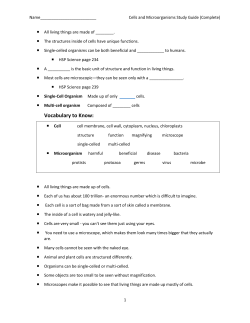 Cell Study Guide Blank