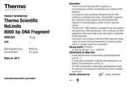 NoLimits 8000 bp DNA Fragment