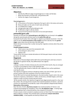 Gametogenesis Prof. Dr. Malak A. Al
