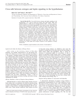 Cross-talk between estrogen and leptin signaling in the hypothalamus
