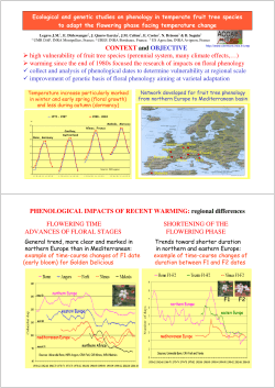 CONTEXT and OBJECTIVE high vulnerability of fruit tree species