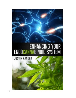 Enhancing Your Endocannabinoid System