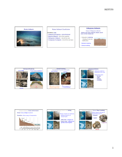 Topic 13 Marine Sedimentation