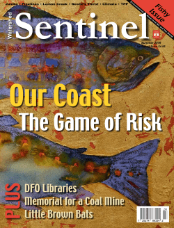 this Issue - Watershed Sentinel