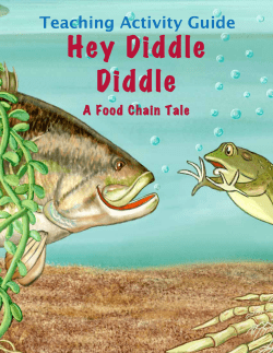 Teaching Activities - Arbordale Publishing