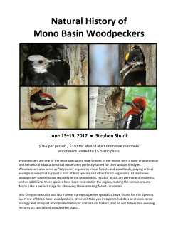 Natural History of Woodpeckers
