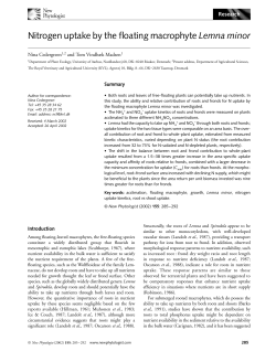 Nitrogen uptake by the floating macrophyte Lemna