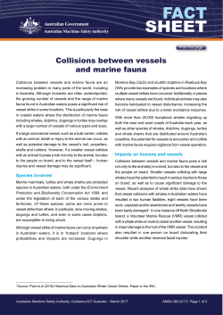Collisions between vessels and marine fauna