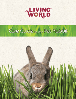Care Guidefor your Pet Rabbit