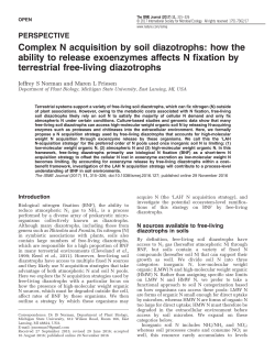 Complex N acquisition by soil diazotrophs: how the ability
