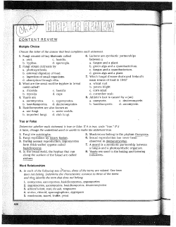 Chapter Review