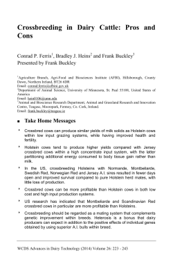 Crossbreeding in Dairy Cattle: Pros and Cons