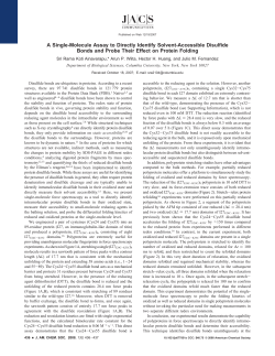 A Single-Molecule Assay to Directly Identify Solvent