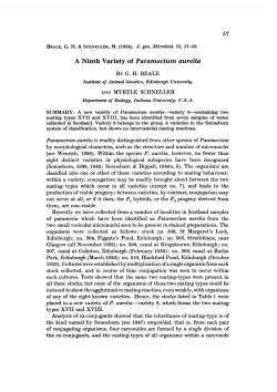 A Ninth Variety of Paramecium aurelia