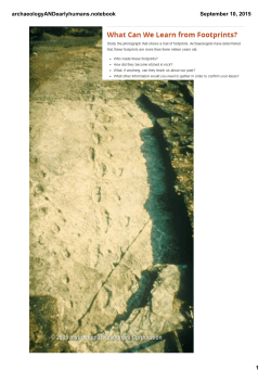 Early Humans and Archaeology Notes