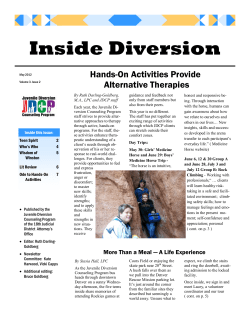 Inside Diversion - 18th Judicial District Attorney